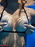 set270-81-lg.jpg